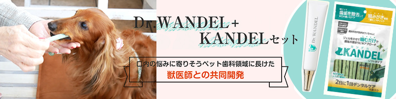 �h�N�^�[�����f���yDr.WANDEL�z���T�C�g